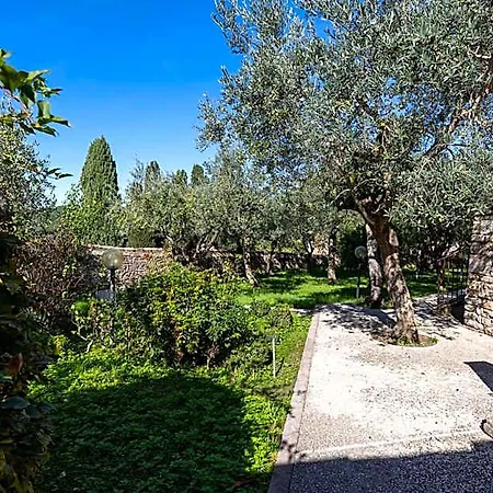 Monastero Sant'andrea 阿西西
